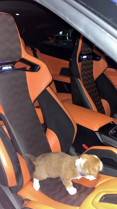 2021 BMW G82/G83 M4 - Image 3 of 4