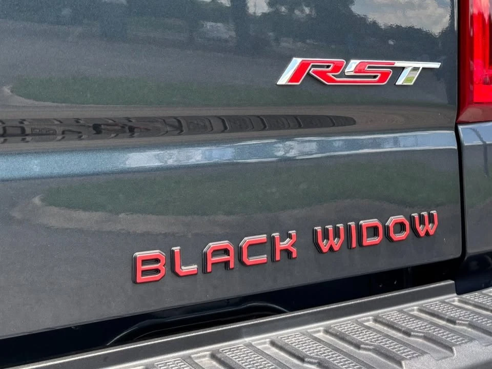 2021 Chevrolet Silverado 4th Gen - Image 20 of 20