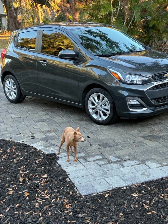 2021 Chevrolet Spark - Image 7 of 18