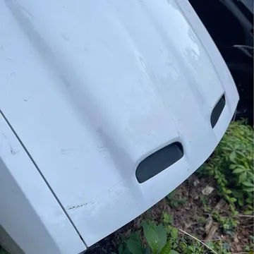 Dodge Challenger OEM Hood and Fenders