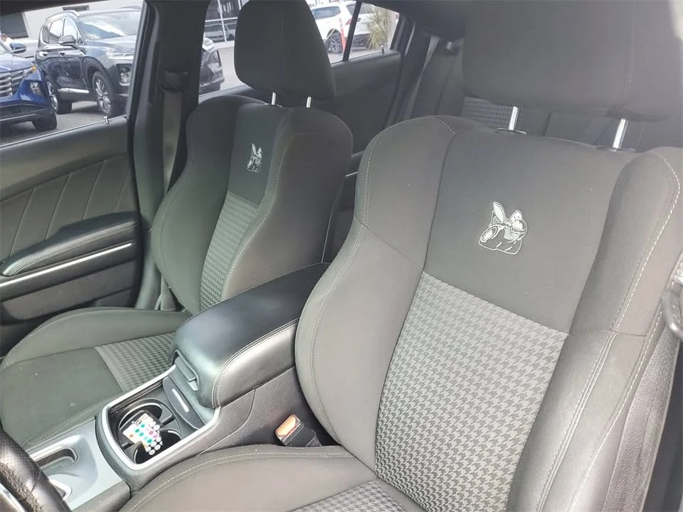 2021 Dodge Charger 7th Gen - Image 17 of 20