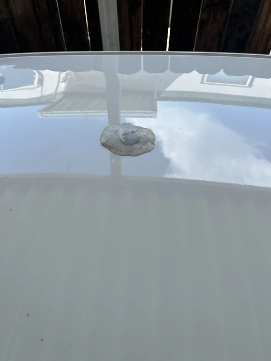 2021 Dodge Charger 8th Gen - Image 12 of 13
