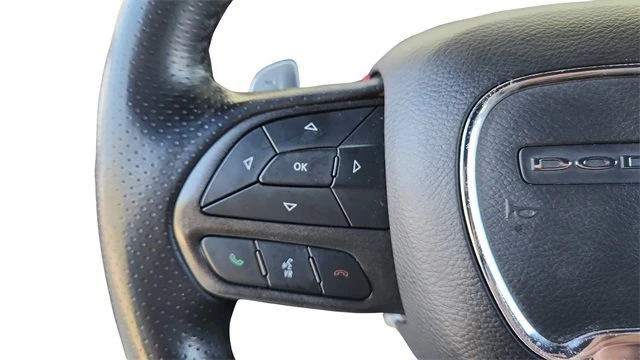 2021 Dodge Charger 7th Gen - Image 19 of 20
