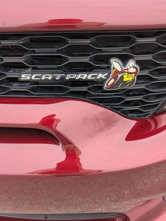 2021 Dodge Charger SRT & 392 7th Gen - Image 15 of 17
