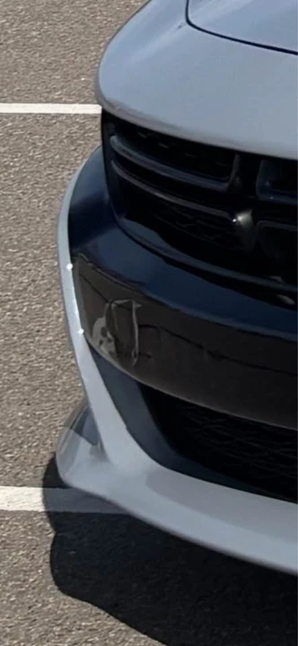 2021 Dodge Charger 7th Gen - Image 15 of 15