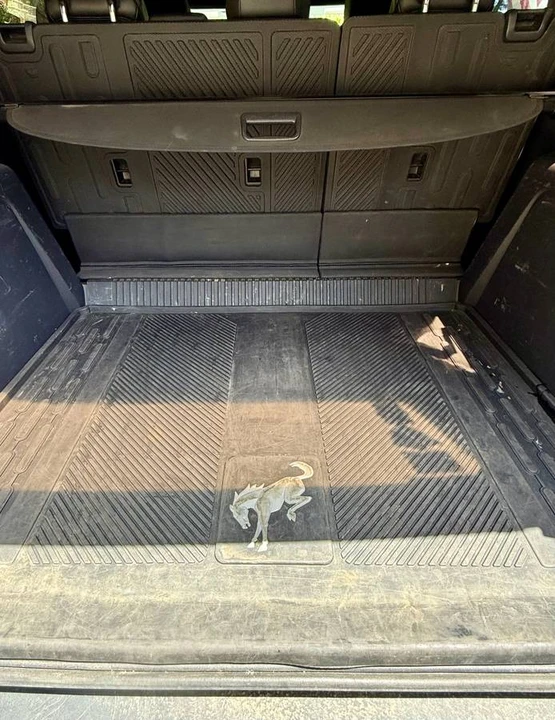 2021 Ford Bronco 6th Gen - Image 14 of 20