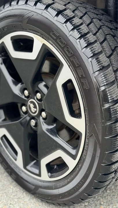 2021 Ford Bronco Sport - Image 8 of 20