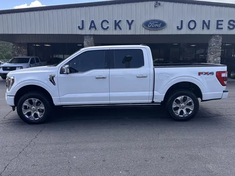 2021 Ford F-150 Platinum
