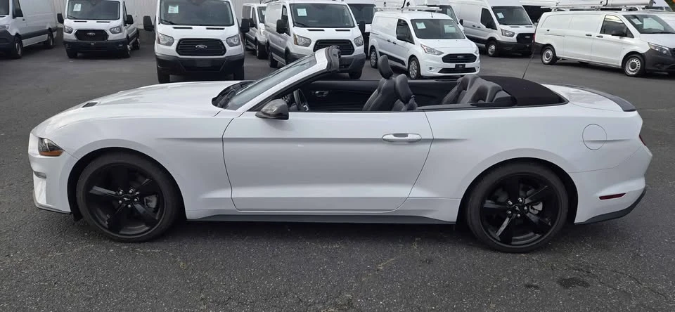 2021 Ford S550 Mustang - Image 8 of 13