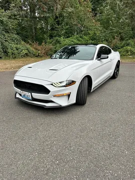 2021 Ford Mustang EcoBoost Coupe 2D