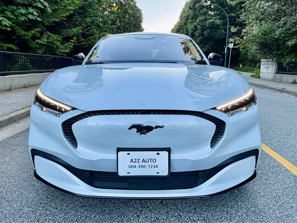 2021 Ford Mustang Mach-E - Image 20 of 20