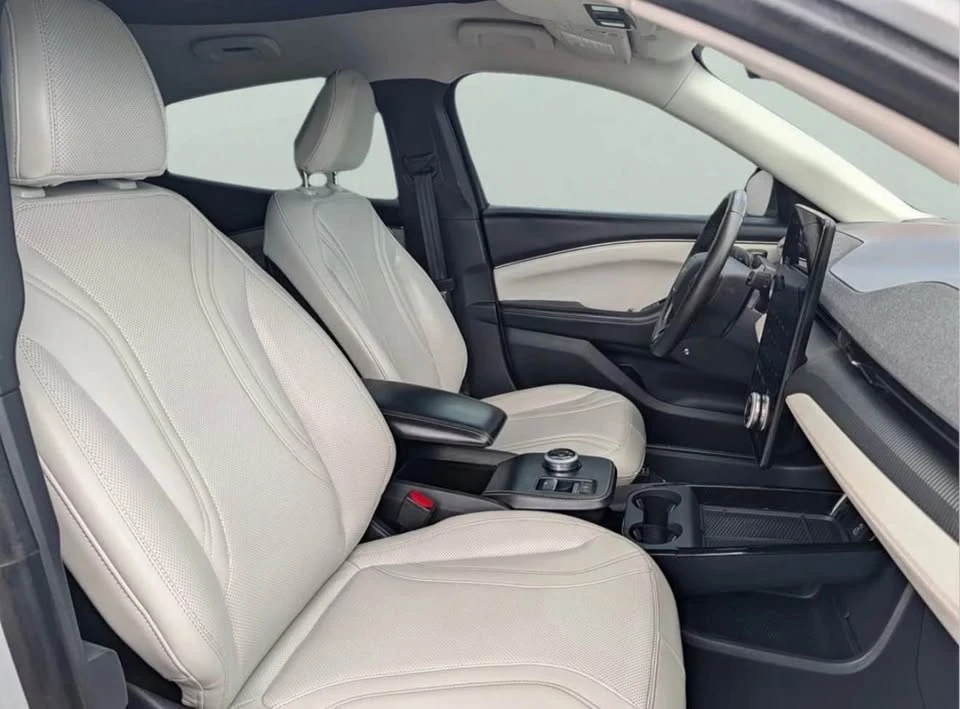 2021 Ford Mustang Mach-E - Image 10 of 11