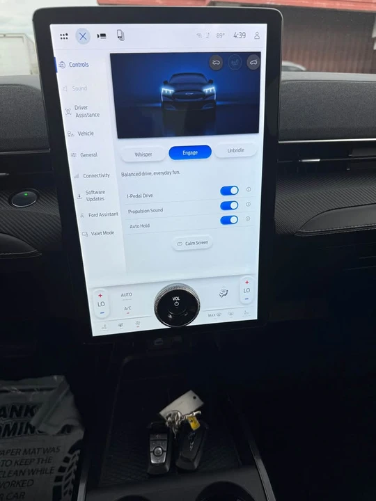 2021 Ford Mustang Mach-E - Image 17 of 17