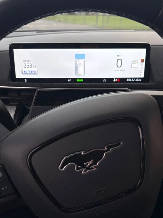 2021 Ford Mustang Mach-E - Image 18 of 18