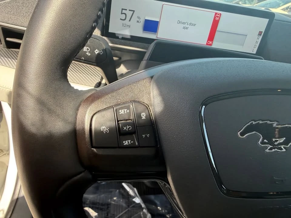 2021 Ford Mustang Mach-E - Image 15 of 20