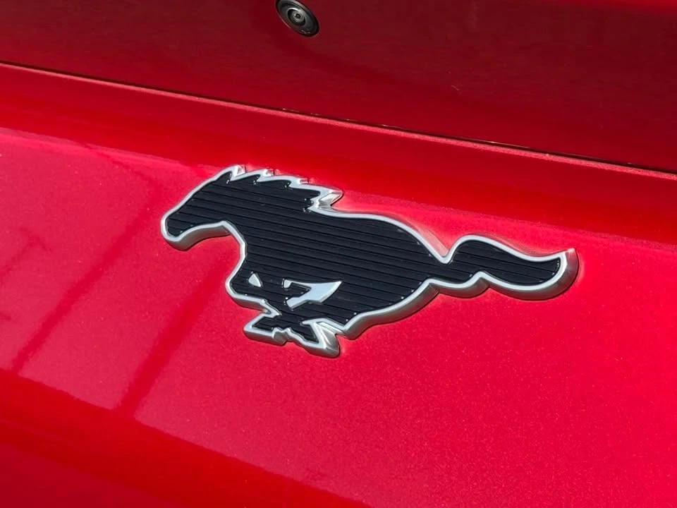 2021 Ford Mustang Mach-E - Image 15 of 20