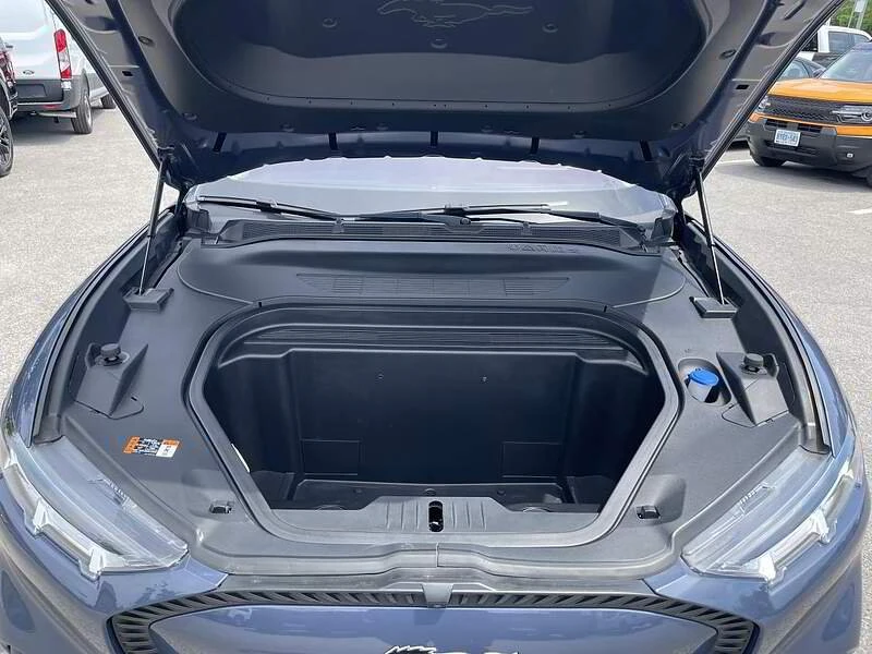 2021 Ford Mustang Mach-E - Image 6 of 20