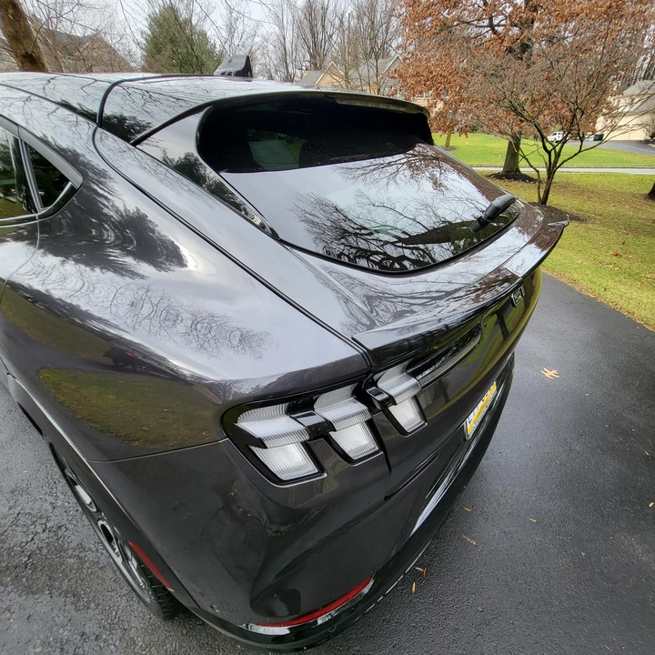 2021 Ford Mustang Mach-E - Image 30 of 31