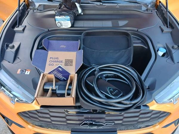 2021 Ford Mustang Mach-E - Image 19 of 21