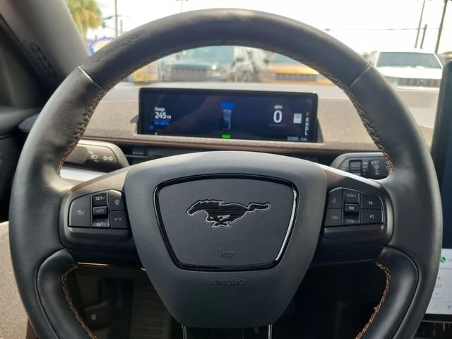 2021 Ford Mustang Mach-E - Image 19 of 20