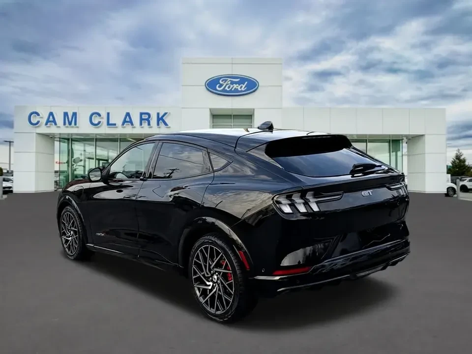 2021 Ford Mustang Mach-E - Image 4 of 20