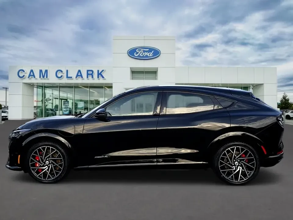 2021 Ford Mustang Mach-E - Image 3 of 20