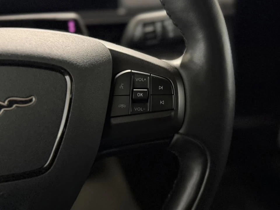 2021 Ford Mustang Mach-E - Image 19 of 20