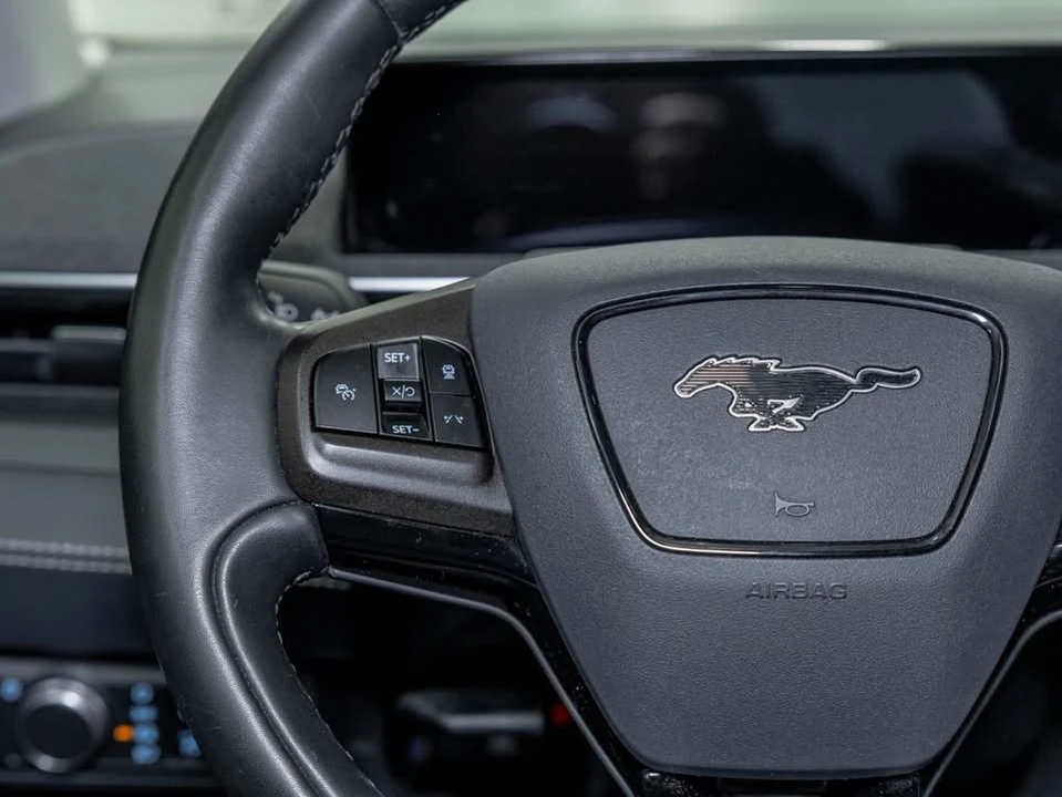 2021 Ford Mustang Mach-E - Image 16 of 20