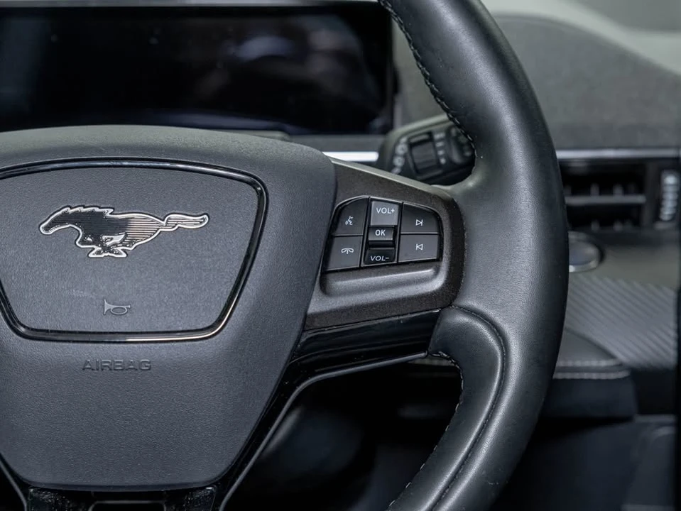 2021 Ford Mustang Mach-E - Image 17 of 20
