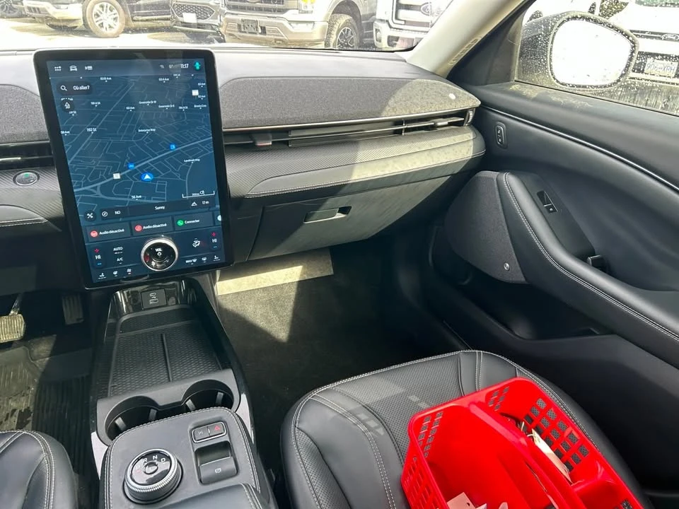 2021 Ford Mustang Mach-E - Image 17 of 20