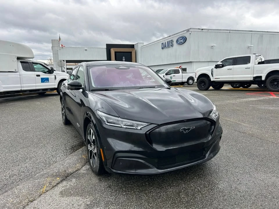 2021 Ford Mustang Mach-E - Image 3 of 19
