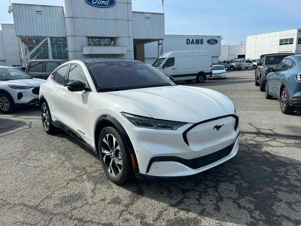 2021 Ford Mustang Mach-E - Image 3 of 20