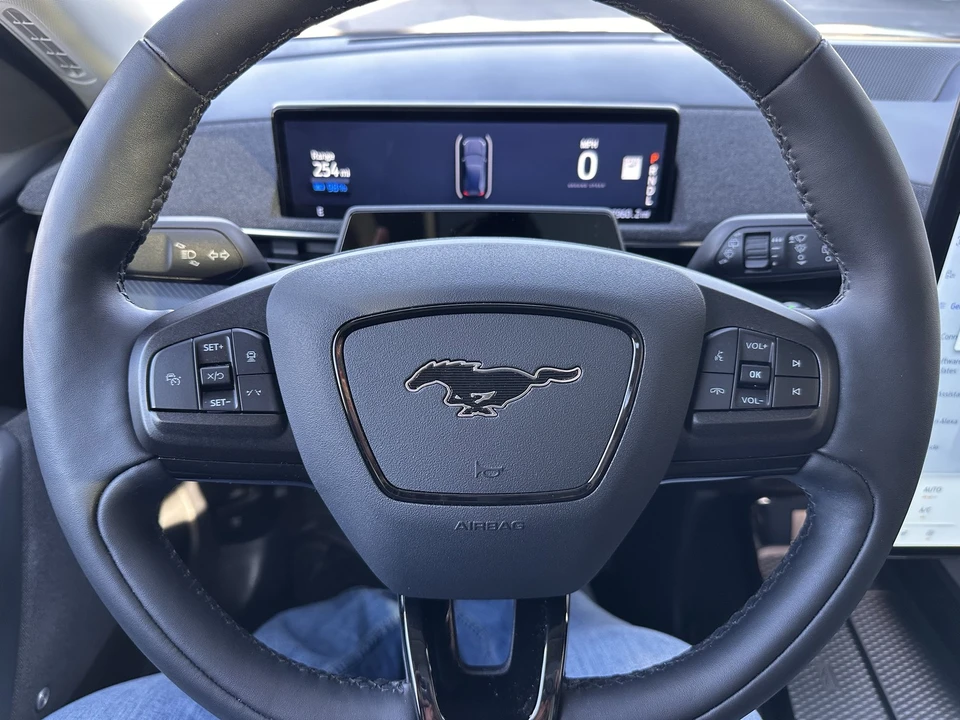 2021 Ford Mustang Mach-E - Image 19 of 30