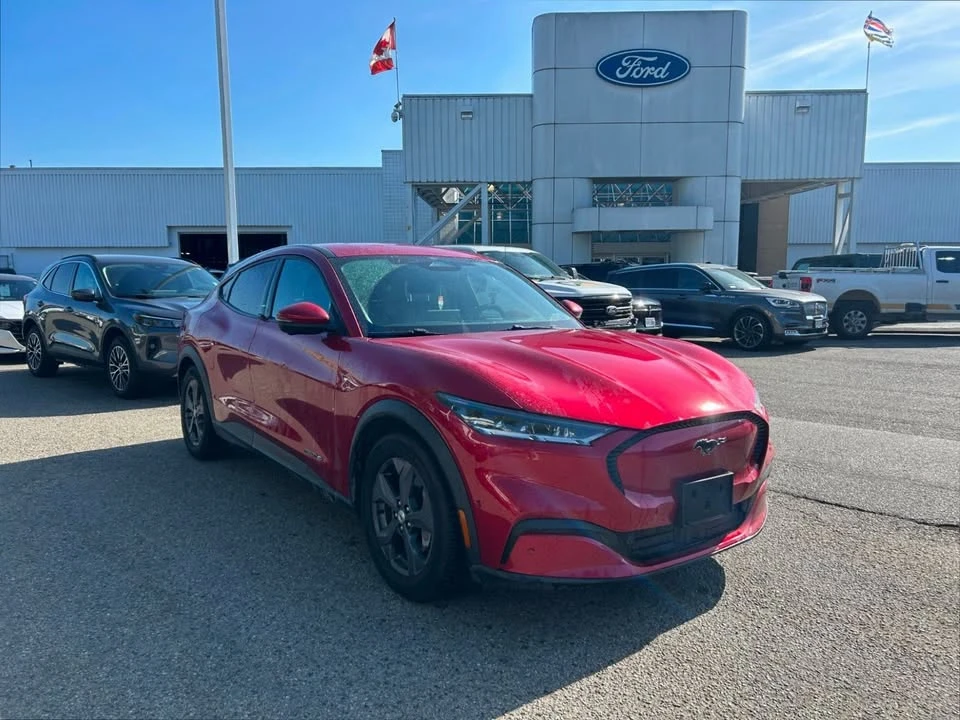 2021 Ford Mustang Mach-E - Image 3 of 15