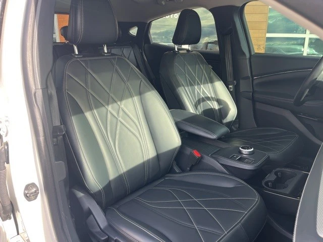 2021 Ford Mustang Mach-E - Image 21 of 21