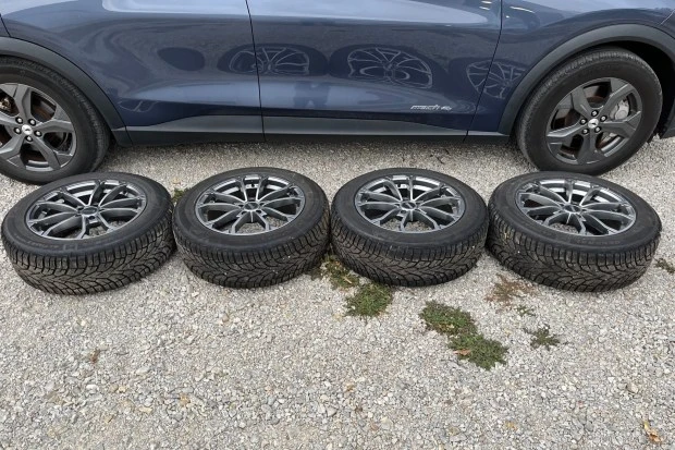 2021 Ford Mustang Mach-E - Image 8 of 8