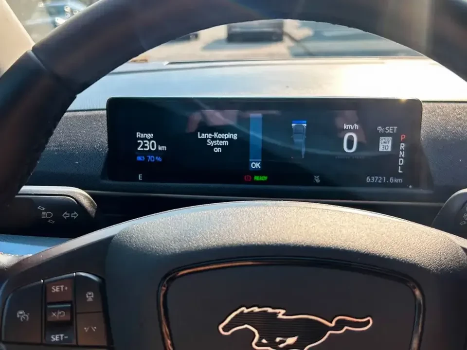 2021 Ford Mustang Mach-E - Image 16 of 20
