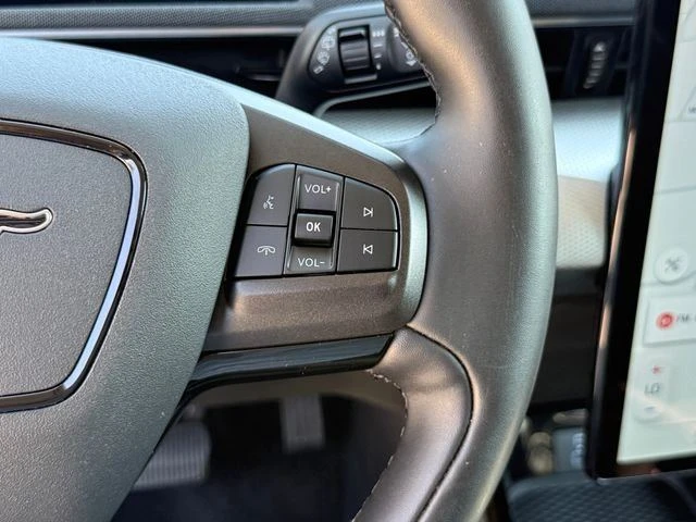 2021 Ford Mustang Mach-E - Image 15 of 20