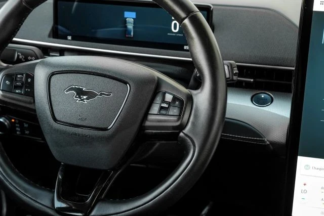 2021 Ford Mustang Mach-E - Image 19 of 21