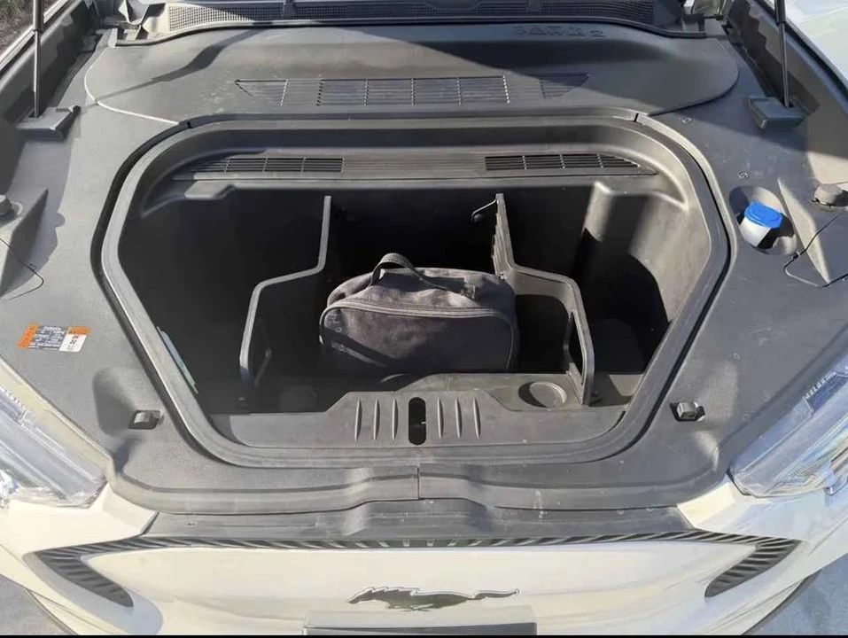 2021 Ford Mustang Mach-E - Image 18 of 18
