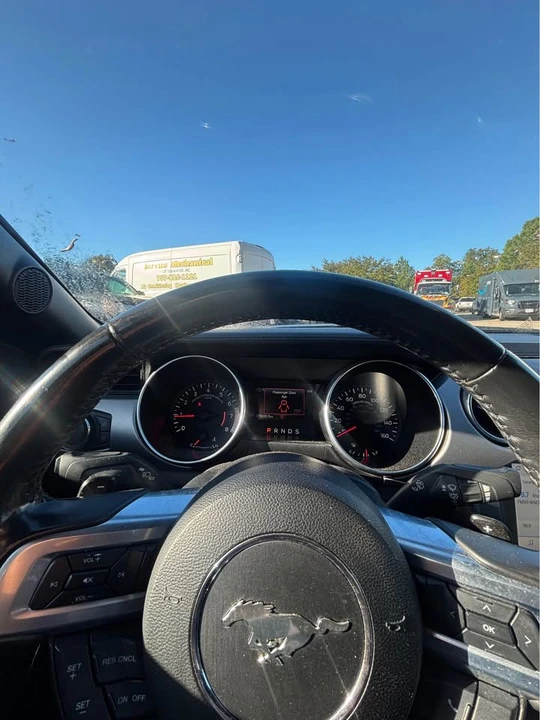 2021 Ford S550 Mustang - Image 16 of 16