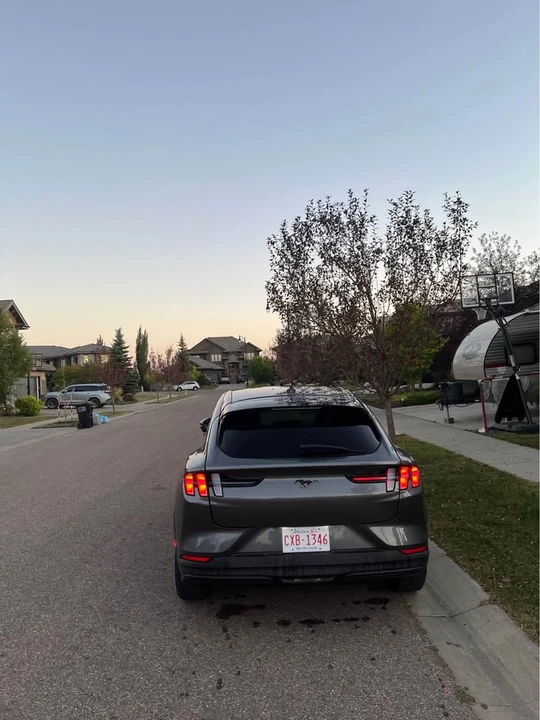 2021 Ford Mustang Mach-E - Image 4 of 8