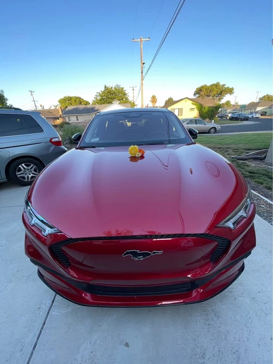 2021 Ford Mustang Mach-E - Image 5 of 5