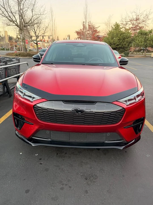 2021 Ford Mustang Mach-E - Image 15 of 20