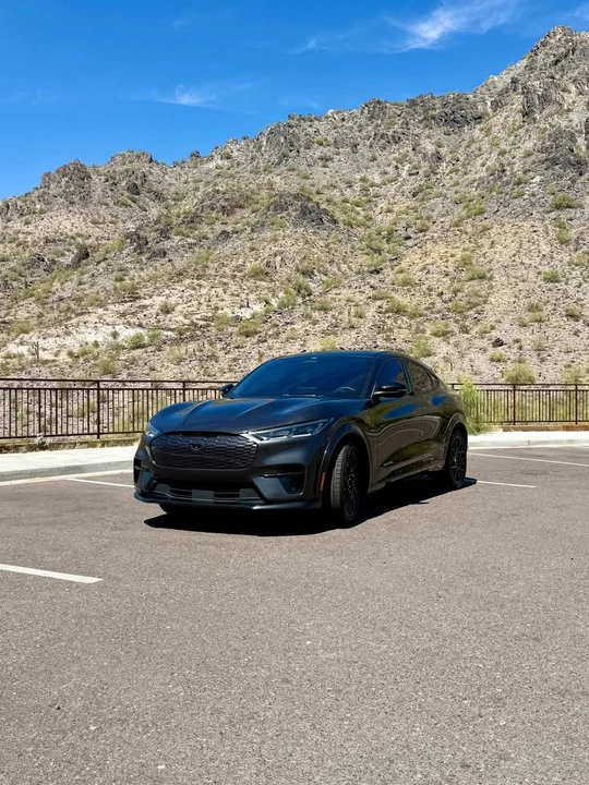 2021 Ford Mustang Mach-E - Image 19 of 20
