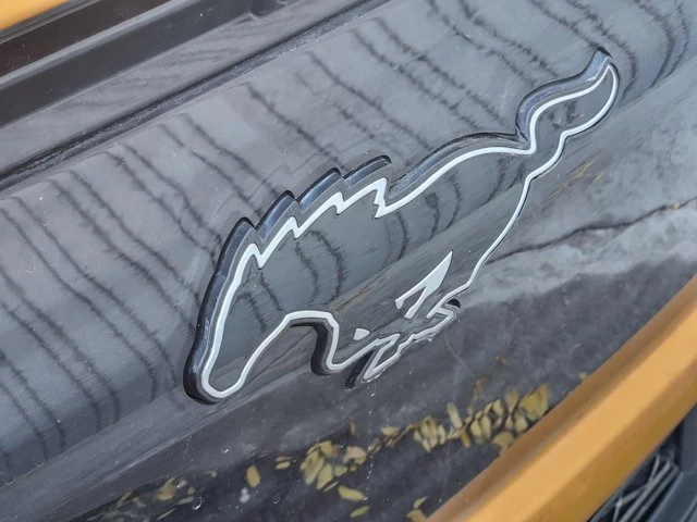 2021 Ford Mustang Mach-E - Image 12 of 20