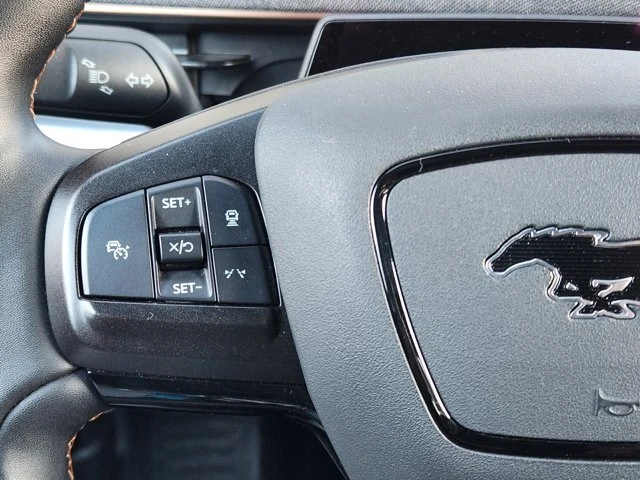 2021 Ford Mustang Mach-E - Image 19 of 20