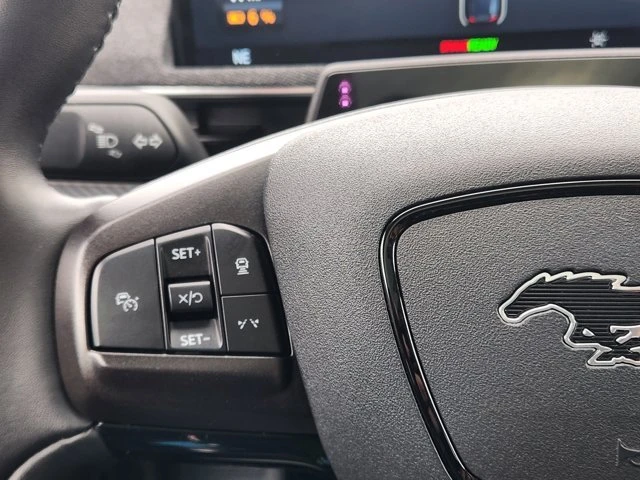 2021 Ford Mustang Mach-E - Image 19 of 19