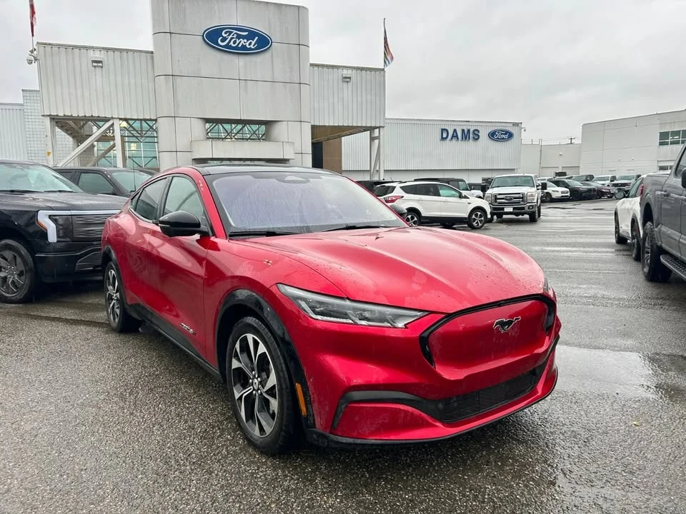 2021 Ford Mustang Mach-E - Image 14 of 14