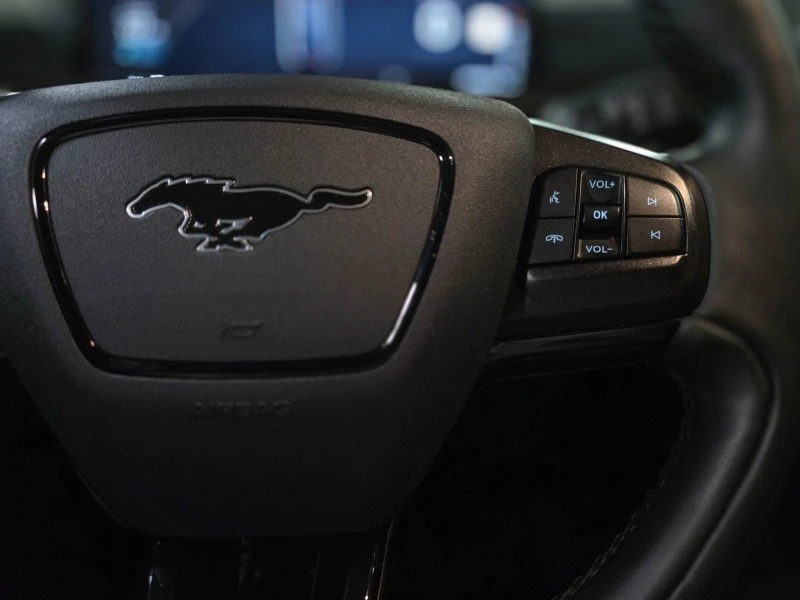 2021 Ford Mustang Mach-E - Image 13 of 19